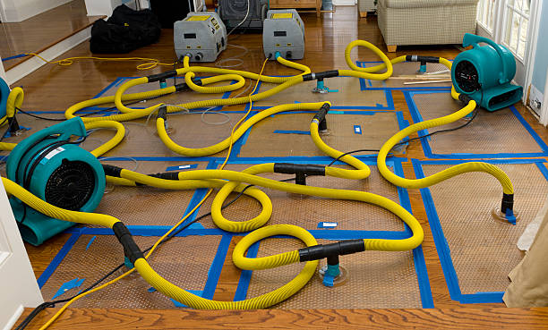 Professional Water Extraction technician working in Dupont, CO